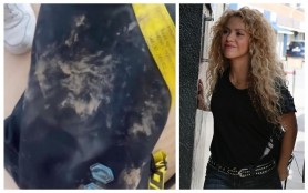 Shakira, atacată de doi porci mistreți într-un parc din Barcelona. „Mi-au smuls geanta cu tot cu telefon. Au distrus tot”